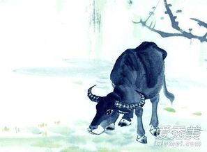 六、 学习了解运势考察