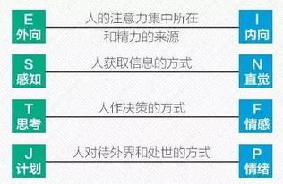 如何根据命格准确预测个人未来命运走向？