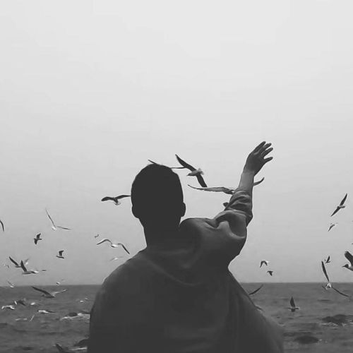 悲伤、 孤独及后悔主题的情感触发