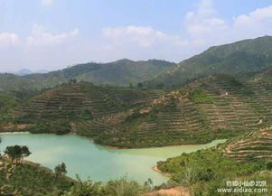 广东廉江石角盘龙风水地是否适合建住宅？