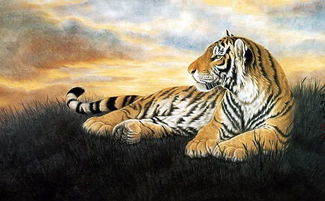 孕妇梦见瘦老虎是什么预兆？有什么特殊含义？