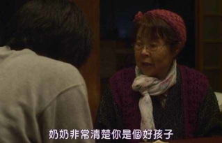 第二章：风水与生肖：星宿交错下的命运纠葛