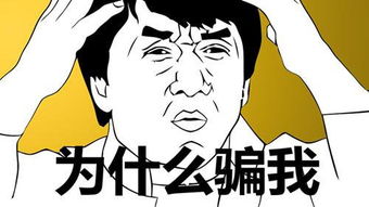 包车价格：我数学不好你别骗我