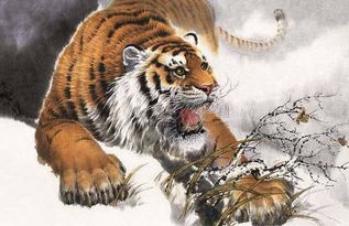 2026年属虎的人十月和每月农历运势具体如何？