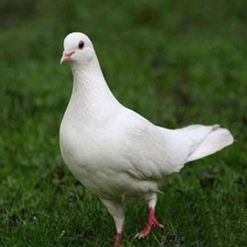 ：自然现象与风水学说的深度耦合