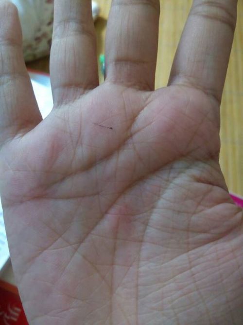 2. 便利性与生活习惯的契合