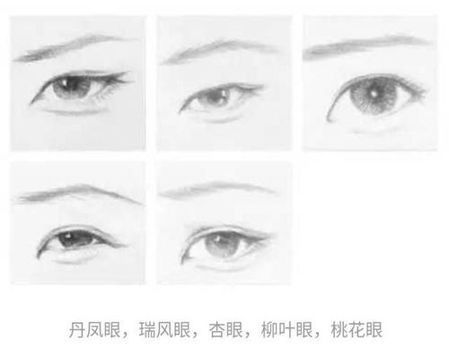 眼型与性格之间是否存在某种关联？