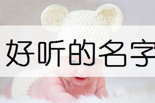 《那一些
