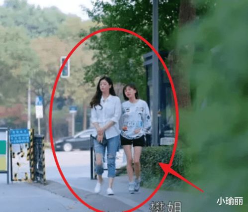 1．理论框架构建——剩余天数公式化表达方式（以现代数据标准化）