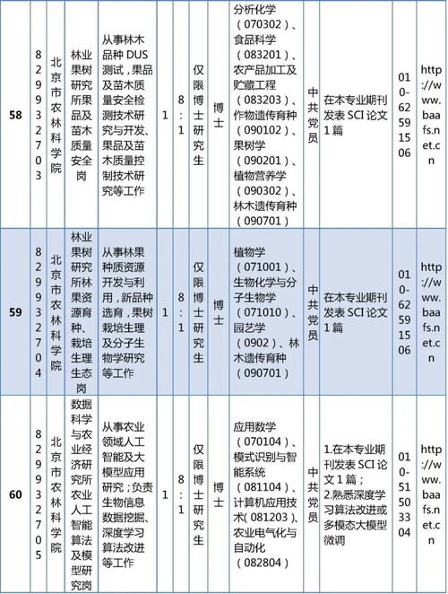 一、  历法考量：2025年9月9日的特殊性