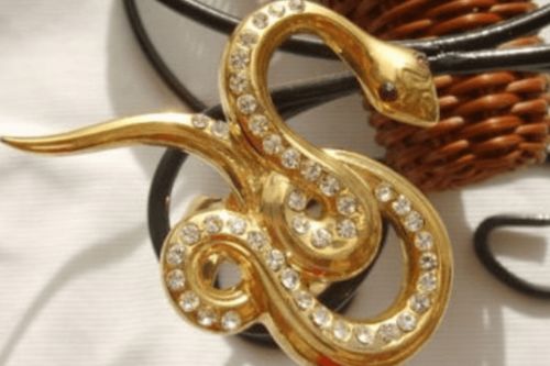 麦玲玲属蛇人2026运势中，蛇年手链究竟有何特殊含义？