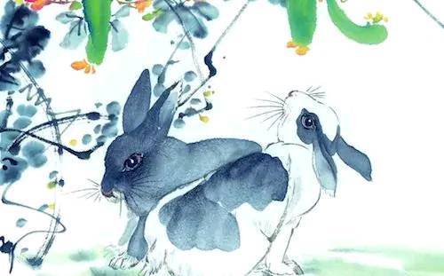 63年属兔11月出生的人，他们的爱情和事业运势如何？