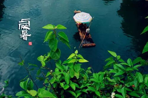 三、 天文意义与文化内涵：多维度解读