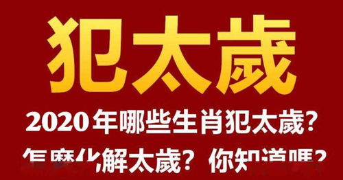 四、 感情与人际关系的风险防控