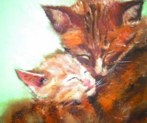 天不作美打一动物是什么意思？改写为：天不作美指的是哪种动物？