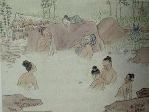 2.5 防蚊措施：香草悬挂与蚊帐采用并行