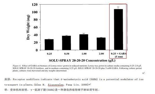 ：种生基术法体系中七宝石的形而上学意涵