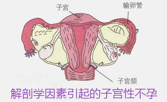 3. 中西结合诊所：传统方式与现代化并存