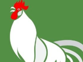 ：婚姻复杂性与生肖命理的辩证考量