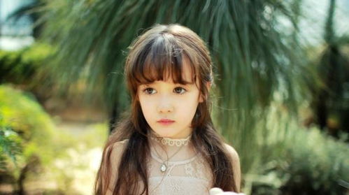 E 类：土属性稳重组——脚踏实地， 却又不失高远志向🏔️⛰️