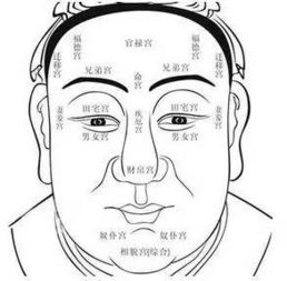 ：算命与现实的交织