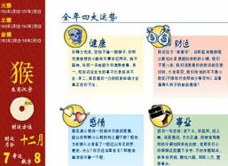 风水与生肖元素的融合实践