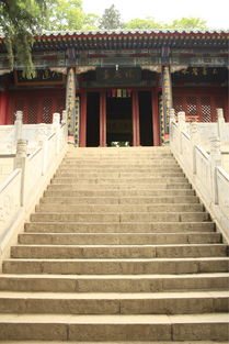 啊啊啊！救命啊！玉泉院到底在哪里啊嗯！我要疯了！