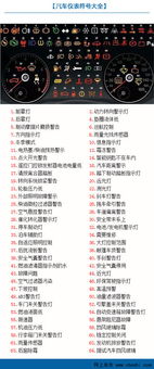 名字：一个符号？还是命运的密码？