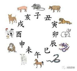 双绿生肖指的是哪两种动物？它们分别代表什么含义？