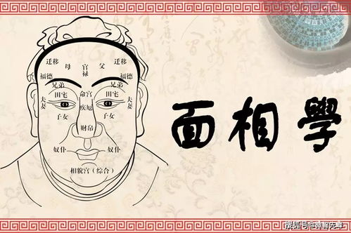 阴德重者的典型行为模式