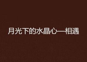 月光之夜的较低语：一篇关于心象与命运的国学较深度报告