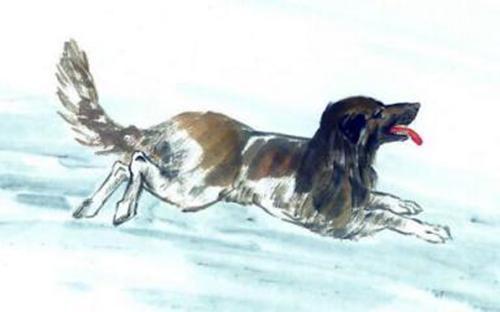 2006年属狗的人的每日运势中，他们的护身佛是哪位？