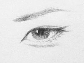 非手术疗法与化妆修饰的视觉平衡