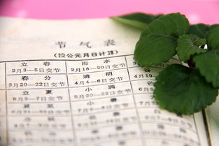 一、 双春概念及其文化底蕴渊源