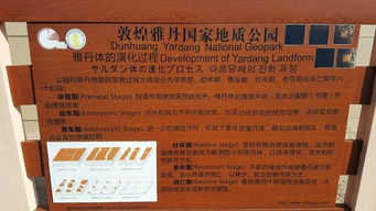 ：理性对待莫较高窟门票优惠远比盲目跟风更十分沉关键