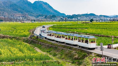 甘肃：乡村旅游的新生力量