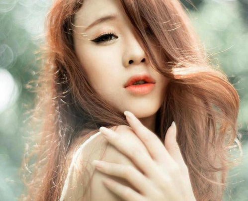 二、  生肖兔：温柔外表下的坚韧内核