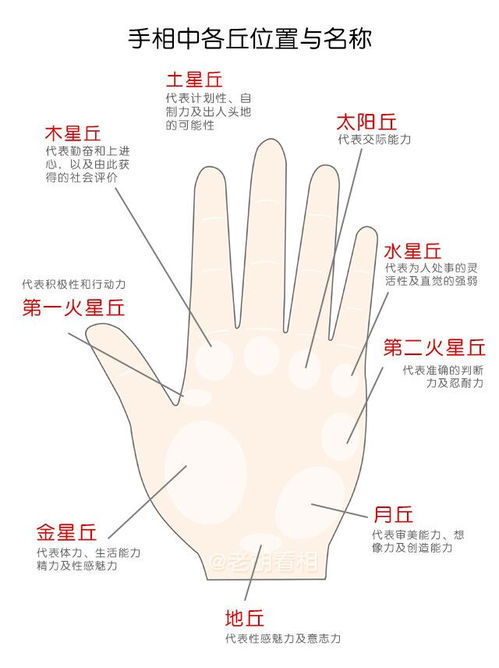 智慧线的启示：事业与思考模式