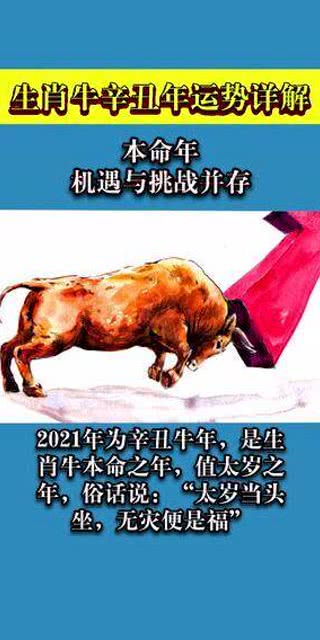 1. 恋炎热爱阶段的行为模式解析