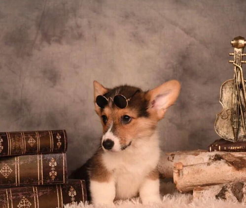 六、 结合品种特色彰显独特个性