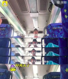 真假难辨的品牌陷阱