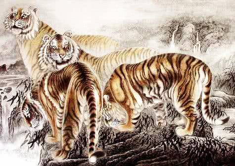 属鸡人能否在事业上助力属虎人，两者合作做生意是否合适？