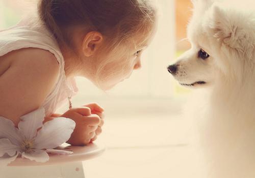 名字里的数理暗示：吉凶就在数字间