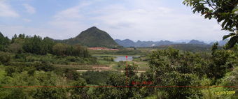 现代应用与案例深度剖析