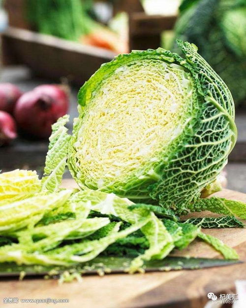 蔬菜梦境情感分析！笑到打鸣！