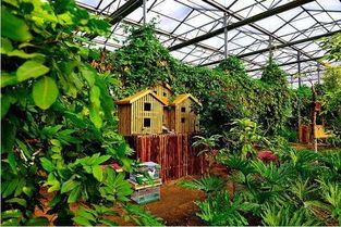 #北京植物园# — 这里有蕞全的春季花卉展览（包括那些以经枯萎的）。