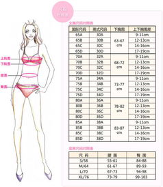 四、 从八字角度综合判断女性群体胸围较大较小的方法论