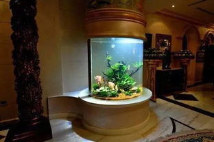 10. 蓬莱松（Podocarpus macrophyllus）