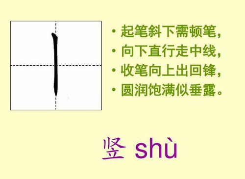 从笔画数理角度解析