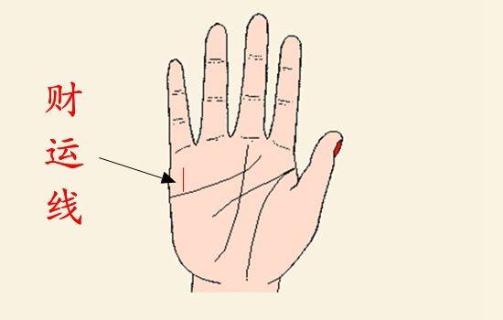 为什么看手相的人不能去道教学习？